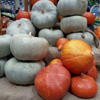 Время сбора тыкв :: Galina Solovova