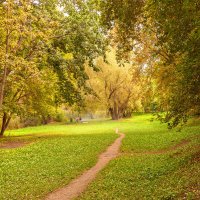 Пикник на лужайке :: Виктор Замулин