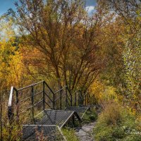 "Лестница в сентябрьскую осень"© :: Владимир Макаров