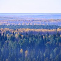 - :: Владимир Мигонькин