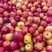 Сезонные :: Валерий Иванович