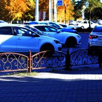 Солнечная решётка :: Юрий Гайворонскiий Солнечная решётка :: Юрий Гайворонскiий