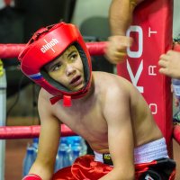 Совет :: Михаил 