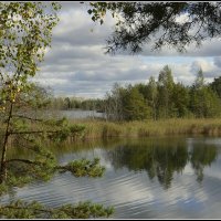 *** :: Aleksandr Gal