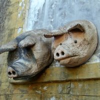 Ноев ковчег :: Gen Vel