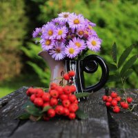 Чудесного Дня ! :: Татьян@ Ивановна