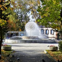 Осенний одуванчик :: Валентина *