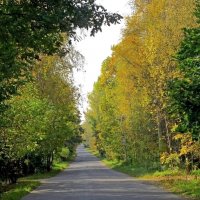 Дорога к дому. :: Ольга Довженко