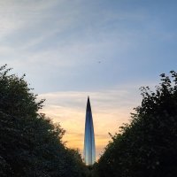 К полету готова :: Андрей 