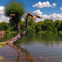 ******** :: Анатолий Уткин