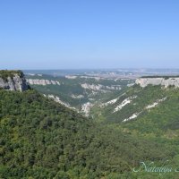 Природа Крыма :: Amazing Cosmea