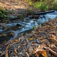 Бурный ручей :: Александр Синдерёв