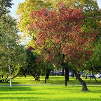 осень в городе :: Олег Лукьянов осень в городе :: Олег Лукьянов