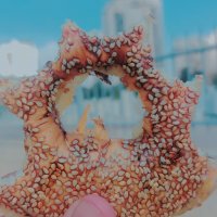 13  ОПЕН (428) :: OPEN WAYS ALL