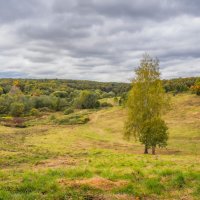 Сентябрь в Царицыно... :: Владимир Жданов