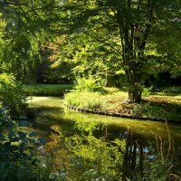 Пруд :: Юрий. Шмаков Пруд :: Юрий. Шмаков