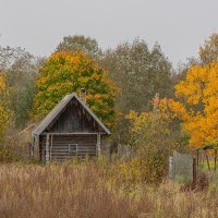 Когда приходит осень :: Александр Филатов
