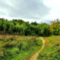 КОЛОМЕНСКОЕ :: АЛЕКСАНДР 