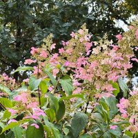 На исходе сентября :: Мария - Maria