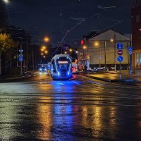 Дождливый вечер :: Мария Яковлева