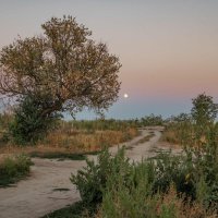 Восход луны :: Константин Бобинский