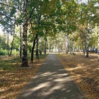 Свет и тени :: Galina Solovova