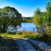Осень в сентябре (репортаж из поездок по области). :: Милешкин Владимир Алексеевич 