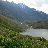 ПРИТОК ОЙГАИНГА. h- 2800м. :: Виктор Осипчук