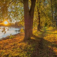 Золото Опеченского Посада(село) :: Александр Филатов