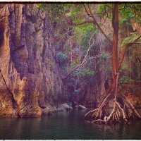 *** :: Алексей Карташев