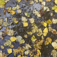 Осень под ногами :: Валерий Иванович Осень под ногами :: Валерий Иванович