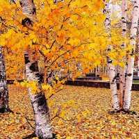 Сентябрь..художник! :: Владимир 