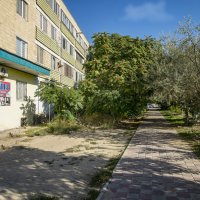 Аллея :: Анатолий Чикчирный