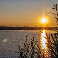 Вечер на Кольчугинском водохранилище :: Сергей Цветков
