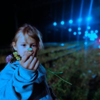 цветы на путях :: Артём 