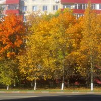 Осенний город :: Елена Семигина