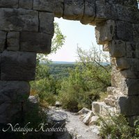 Природа Крыма :: Amazing Cosmea