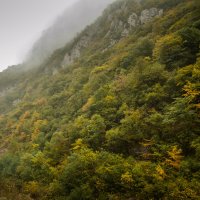 начальные краски осени :: Батик Табуев