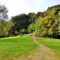 КОЛОМЕНСКОЕ :: АЛЕКСАНДР 