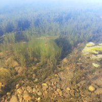 На Ангаре :: Галина Минчук