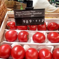 *** :: Владимир Захаров