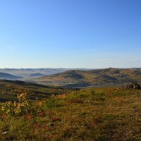 На сопках Маньчжурии :: Мишель71 