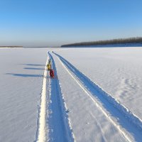 Зимние прогулки :: Anna Ivanova Зимние прогулки :: Anna Ivanova