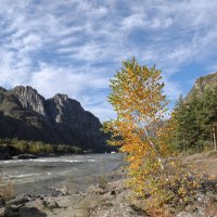 *** :: владимир 