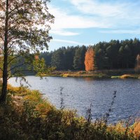 осень :: Владимир Зеленцов