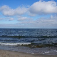 ~ ~ ~ :: Алёна Савина