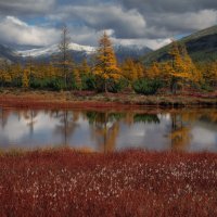 Окрестности Юга :: Дмитрий Шишкин