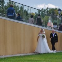 Жених, невеста, сопровождение (День города, набережная) :: Татьяна Машошина