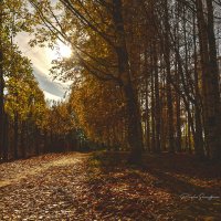 природа :: סּﮗRuslan HAIBIKE Sevastyanovסּﮗסּ