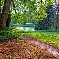 Осень в Павловске :: Ирина Румянцева